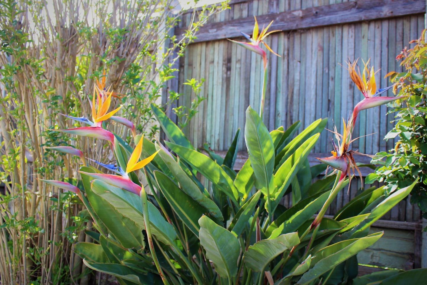 10 Hebert Road Salinas, CA 93906 - Photo 46 of 48 Gallery Image 46