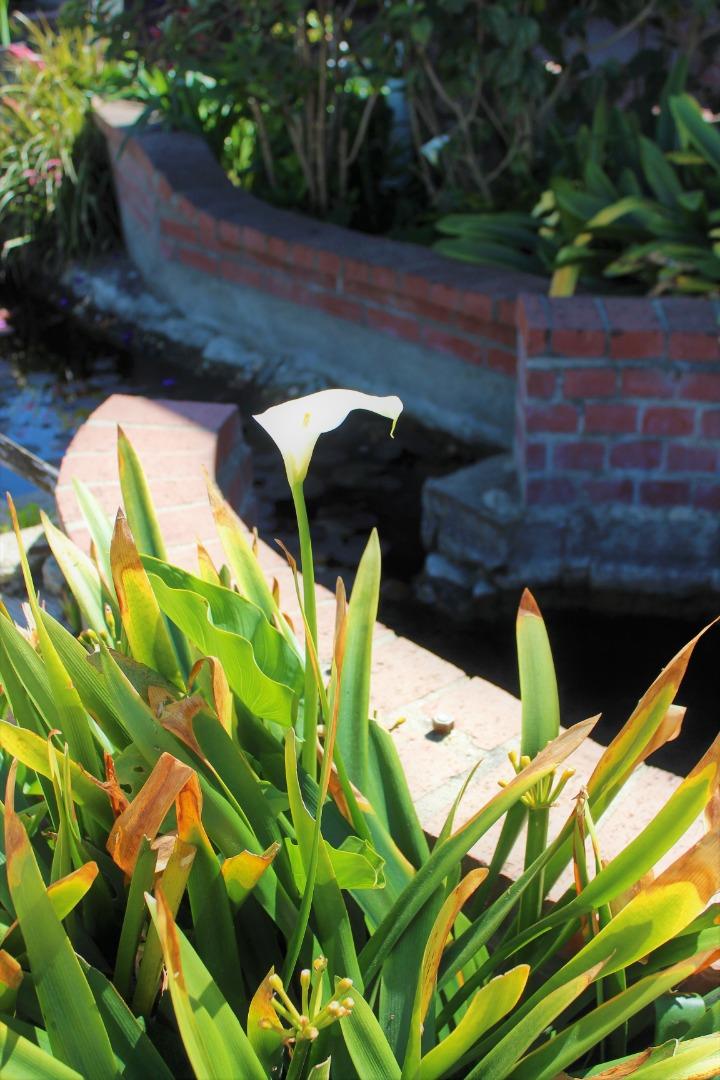 10 Hebert Road Salinas, CA 93906 - Photo 47 of 48 Gallery Image 47