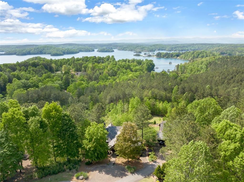 143 Button Bush Trail Six Mile, SC 29682 - Photo 47 of 48