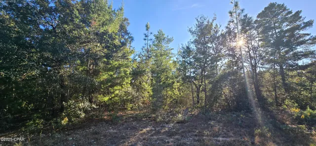 $4,900 | 0 Warwick Drive, Chipley, FL 32428