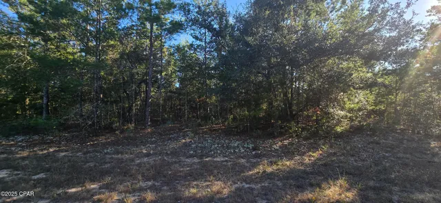 $4,900 | 0 Warwick Drive, Chipley, FL 32428