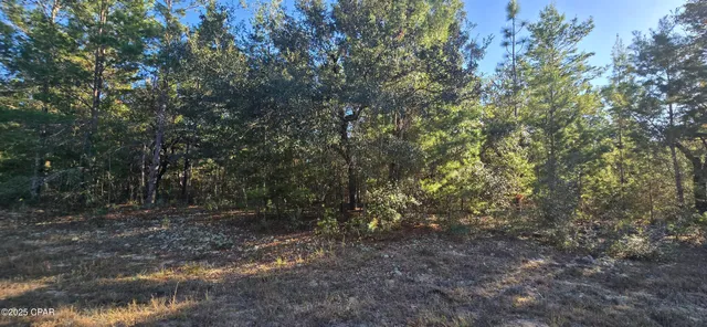 $4,900 | 0 Warwick Drive, Chipley, FL 32428