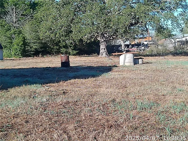 a view of a yard with large trees