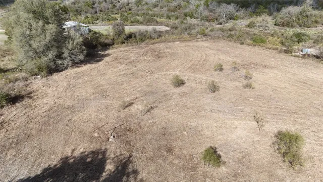 a view of a dry yard with trees
