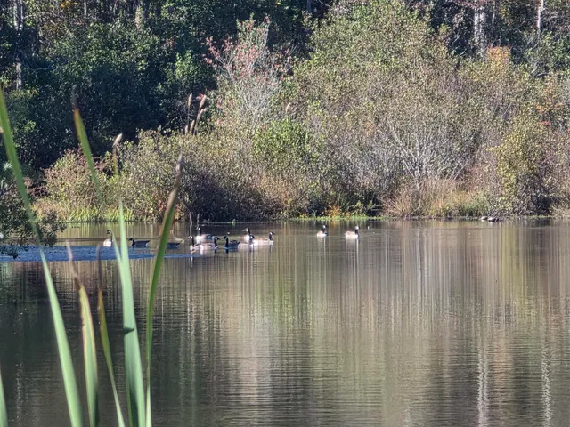 $425,000 | 3644 Lake Marston Drive, Orangeburg, SC 29118