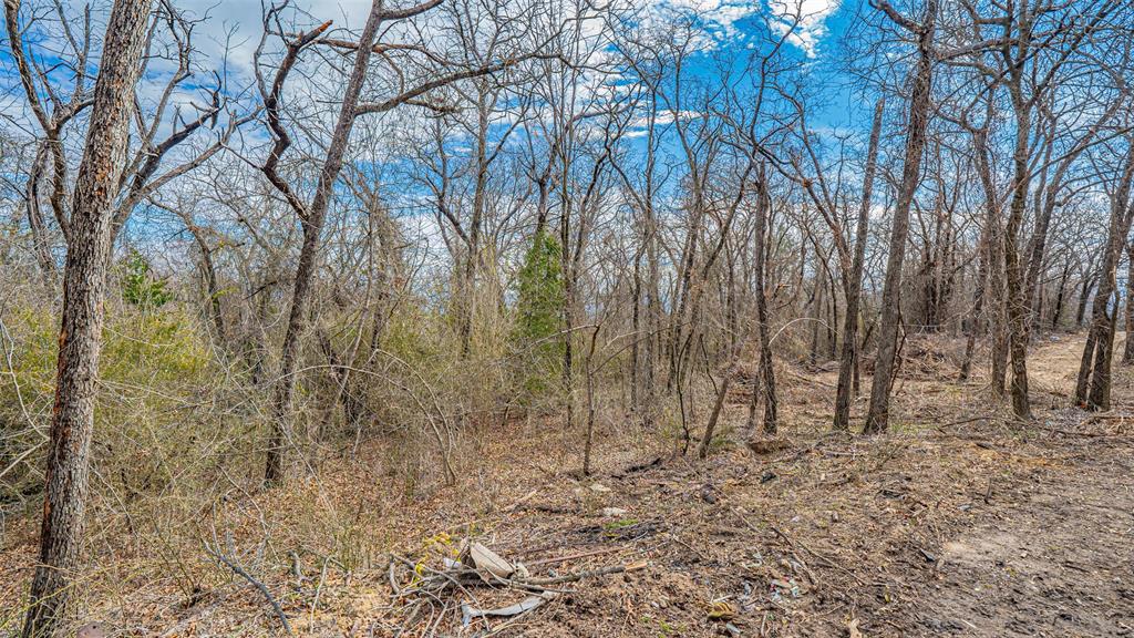 Tbd Conwell Drive Azle, TX 76020 - Photo 22 of 22