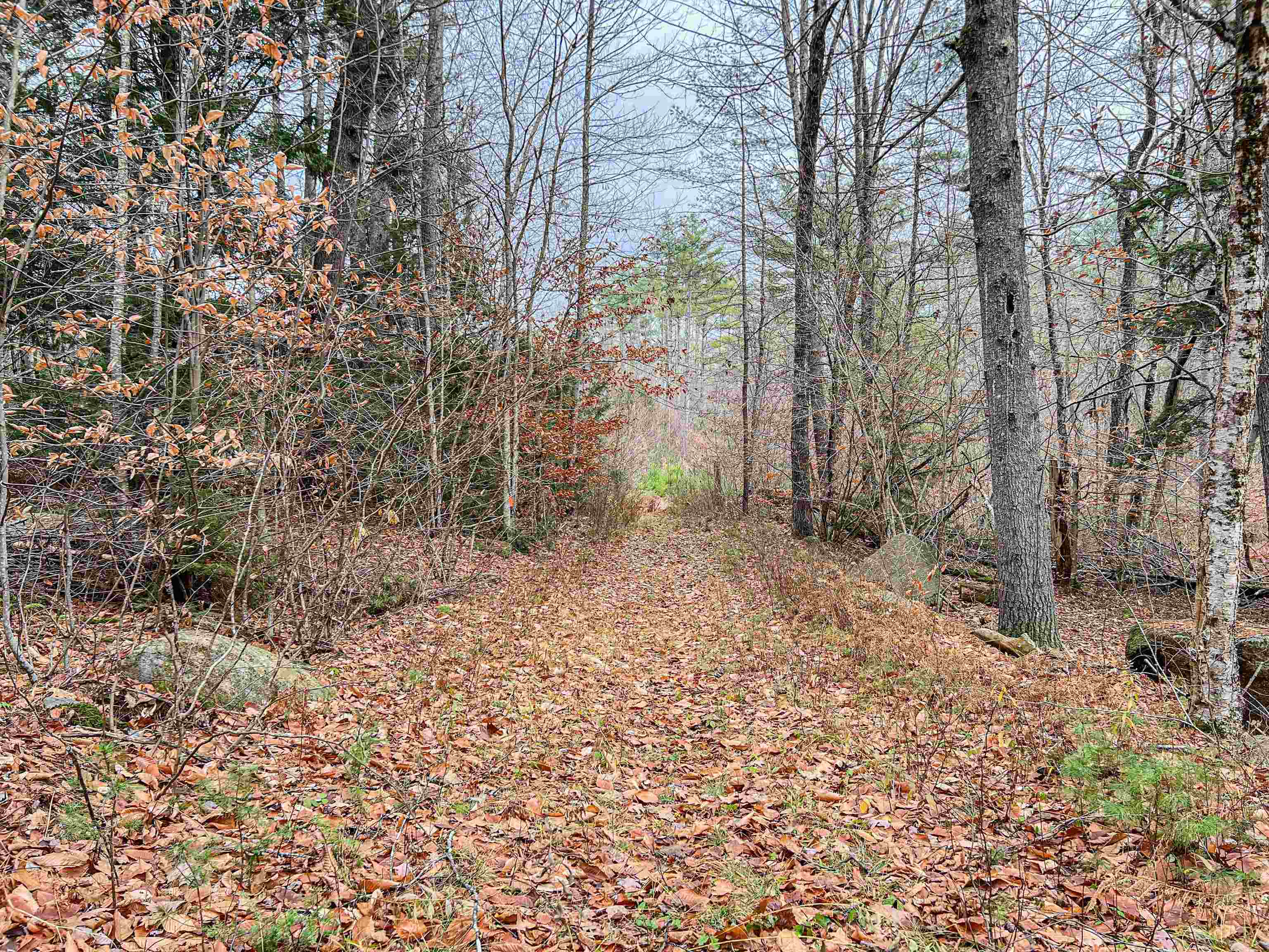 Lot 13 East Deering Road Deering, NH 03244 - Photo 3 of 8