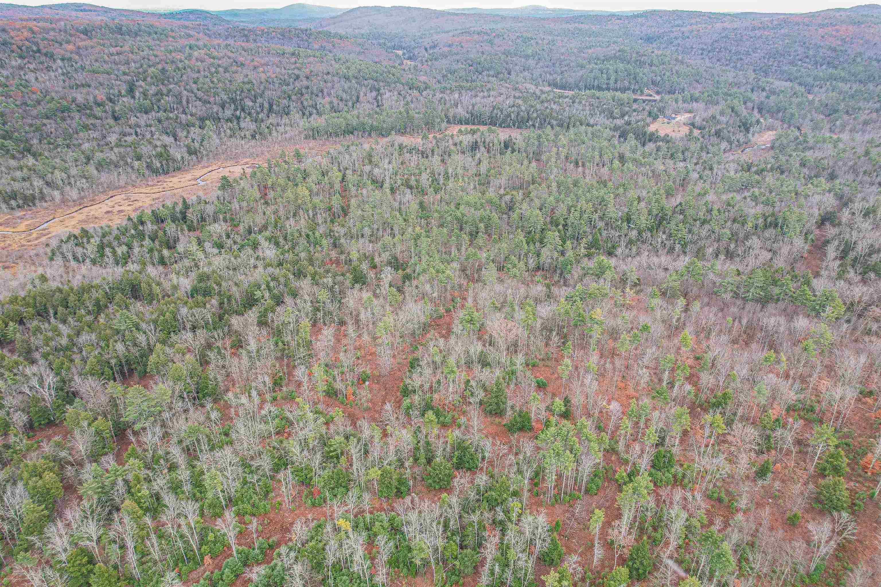 Lot 13 East Deering Road Deering, NH 03244 - Photo 4 of 8