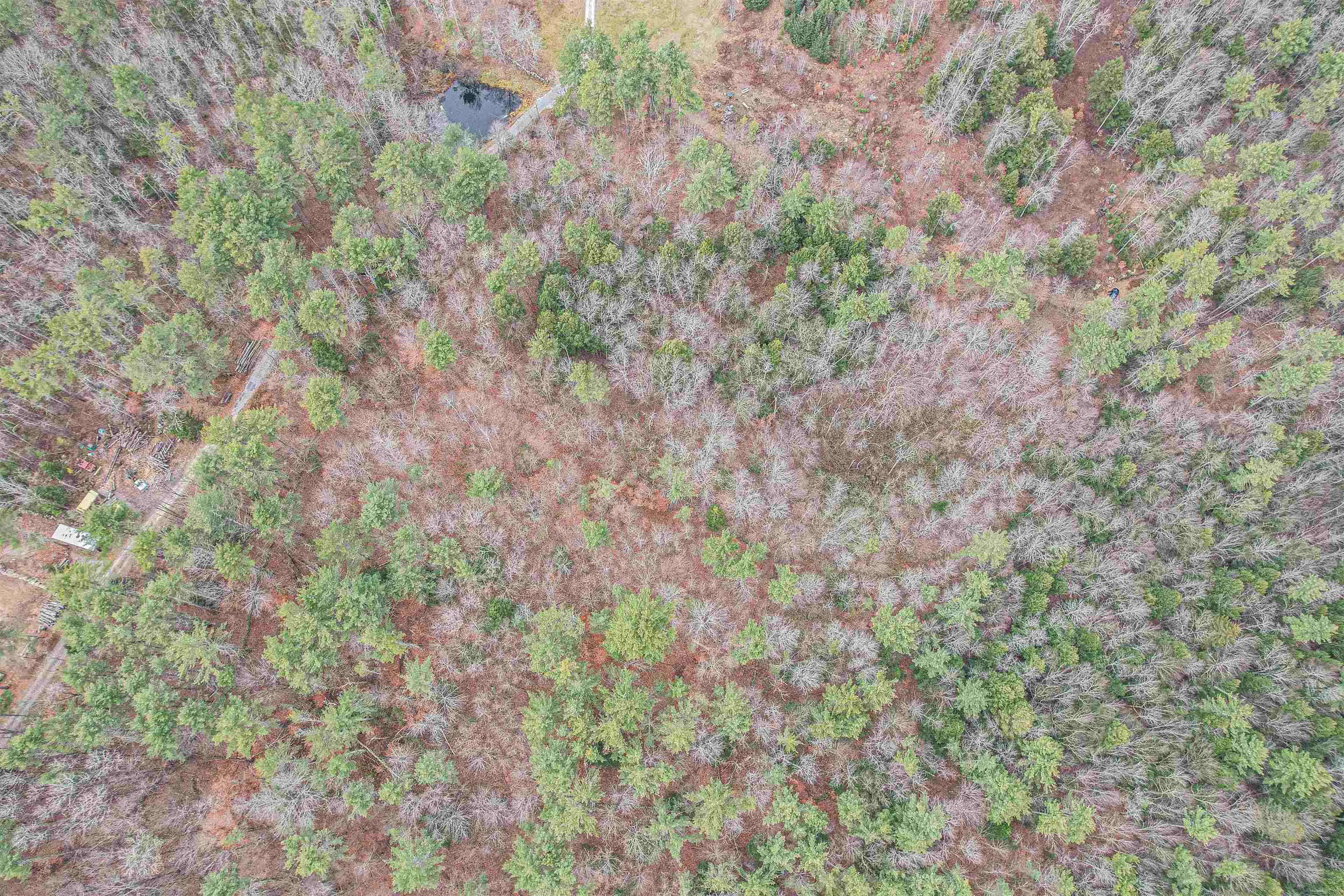 Lot 13 East Deering Road Deering, NH 03244 - Photo 8 of 8