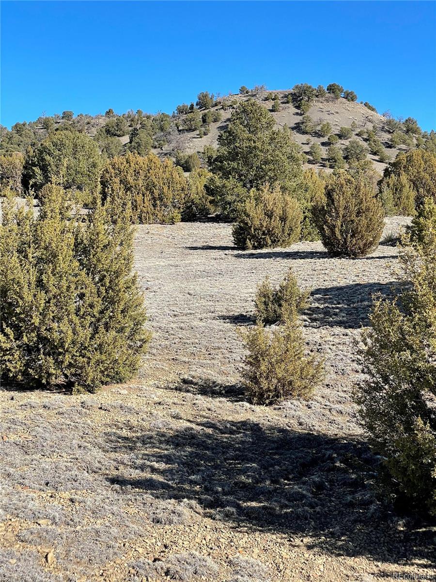 23440 Adams Road Trinidad, CO 81082 - Photo 3 of 16 Gallery Image 3