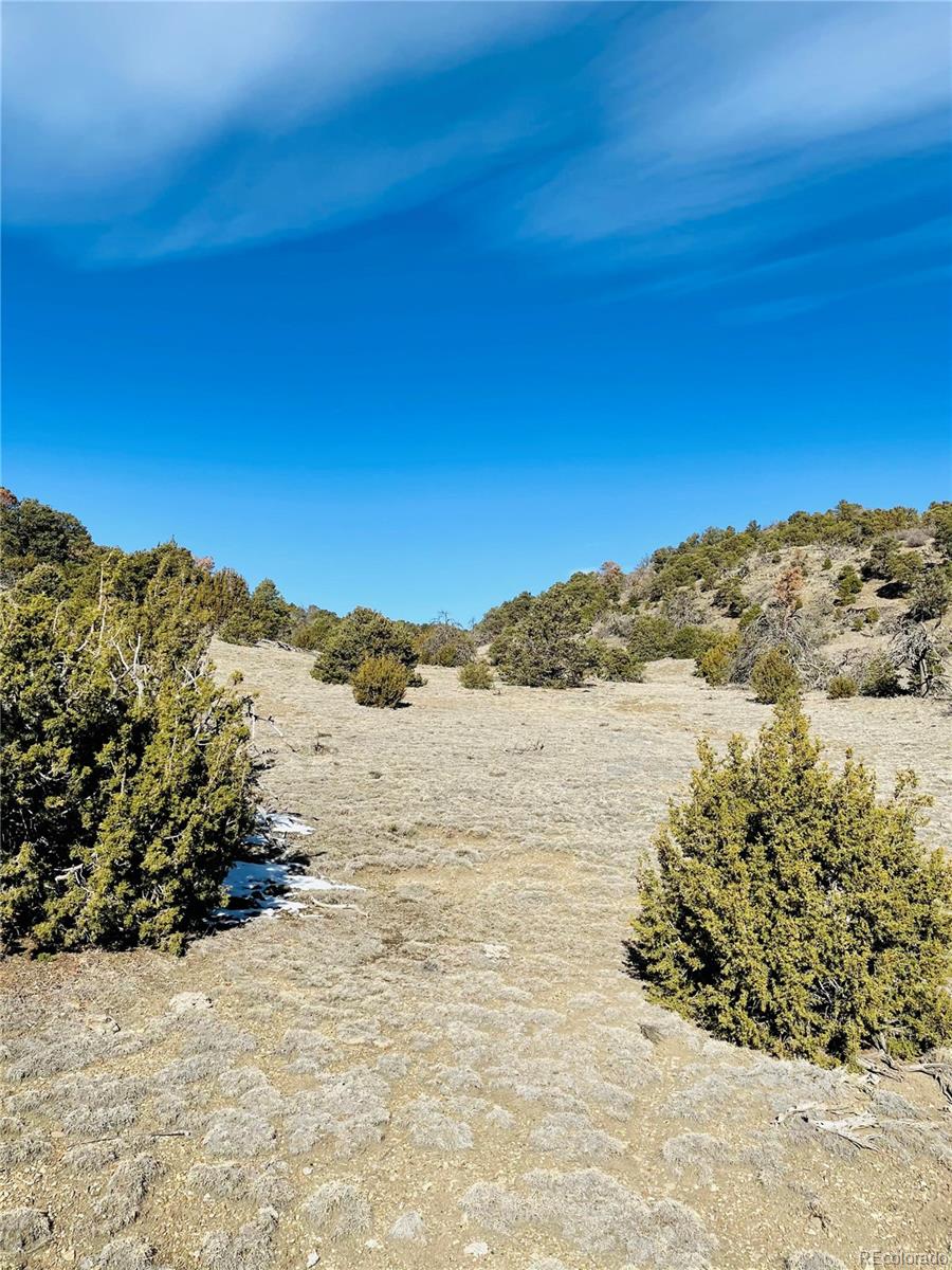 23440 Adams Road Trinidad, CO 81082 - Photo 5 of 16 Gallery Image 5