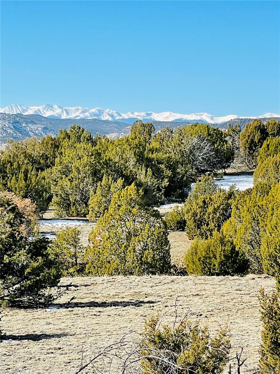 23440 Adams Road Trinidad, CO 81082 - Photo 7 of 16 Gallery Image 7