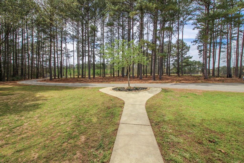 657 Oliver Road Pine Mountain, GA 31822 - Photo 43 of 47 Gallery Image 43