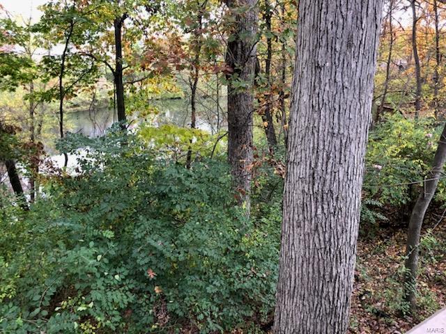 15975 Quiet Oak Road Chesterfield, MO 63017 - Photo 45 of 60 Gallery Image 45