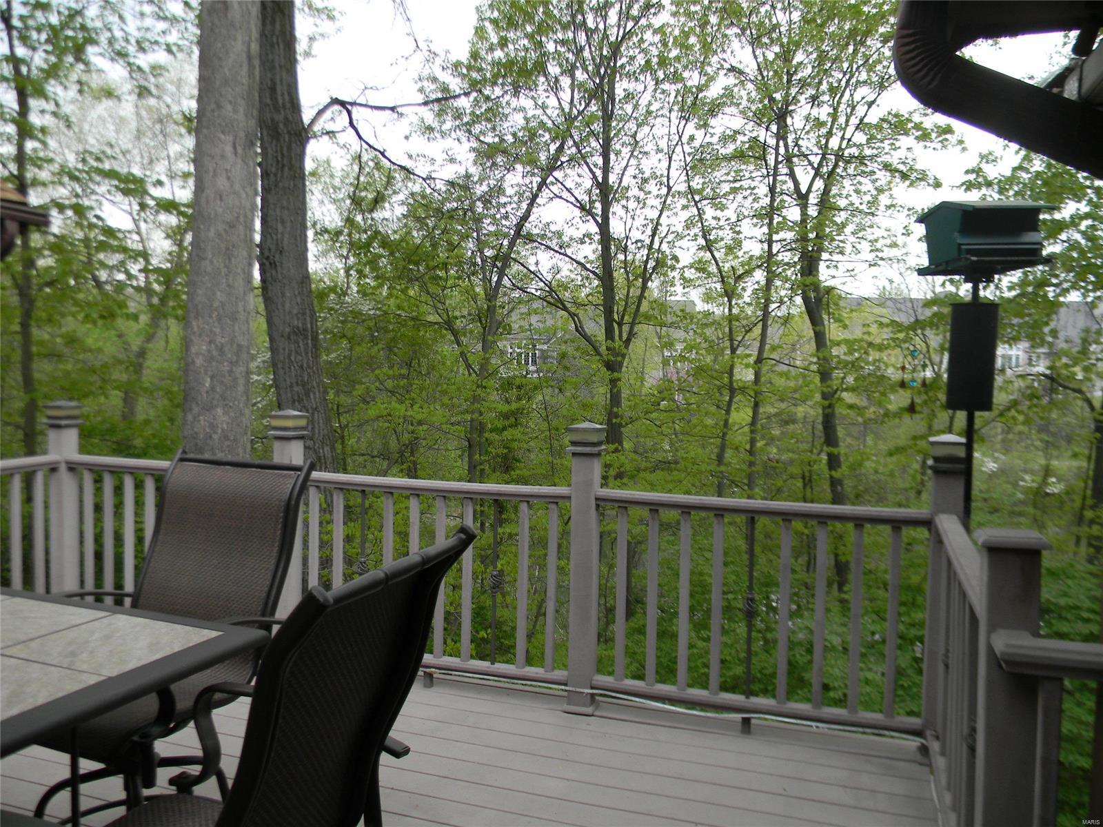 15975 Quiet Oak Road Chesterfield, MO 63017 - Photo 55 of 60 Gallery Image 55
