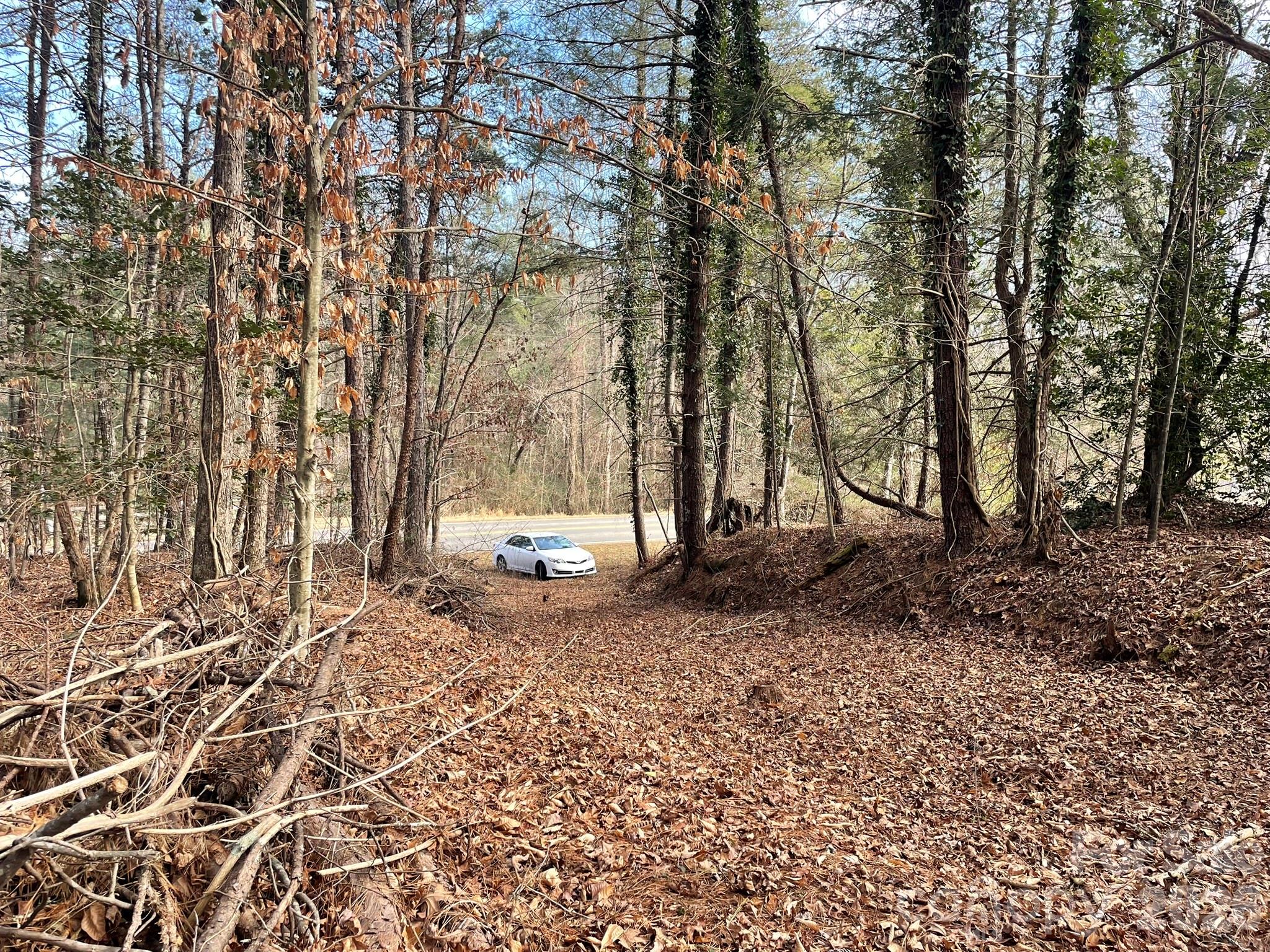 4650 John Berry Road Valdese, NC 28690 - Photo 11 of 12 a view of backyard with trees