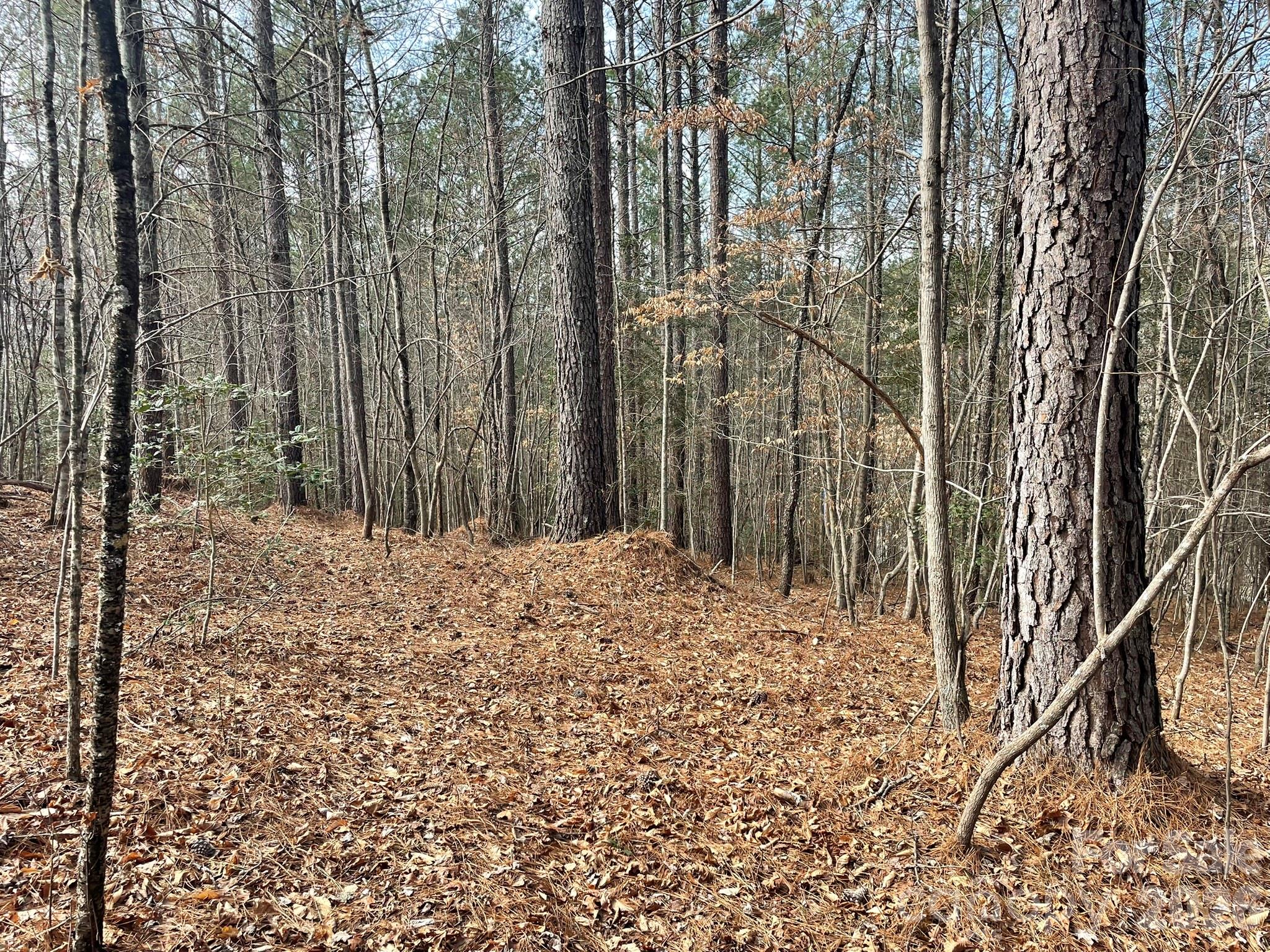 4650 John Berry Road Valdese, NC 28690 - Photo 12 of 12 a view of a backyard of the house