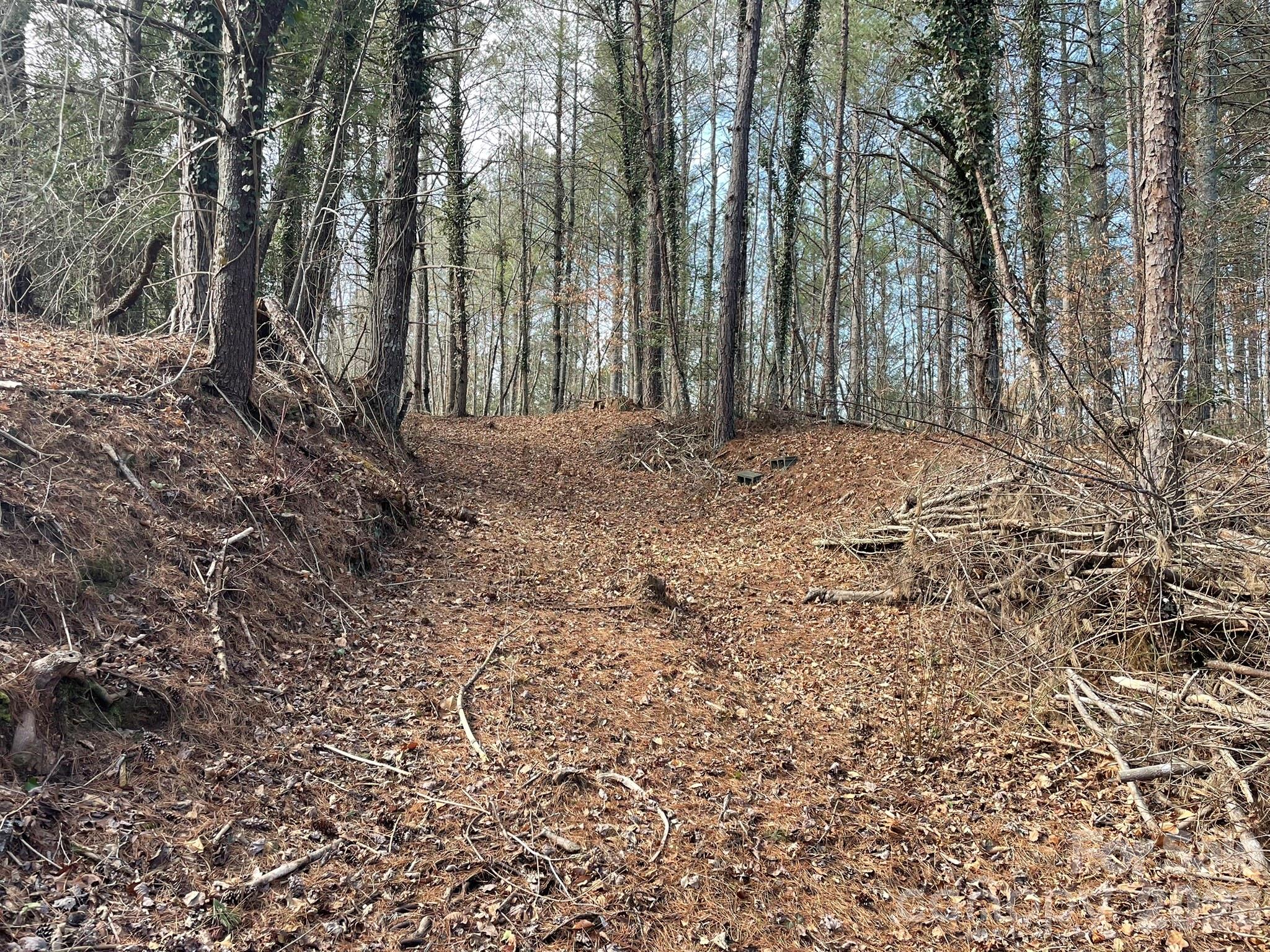 4650 John Berry Road Valdese, NC 28690 - Photo 8 of 12 a view of outdoor space with deck and tree