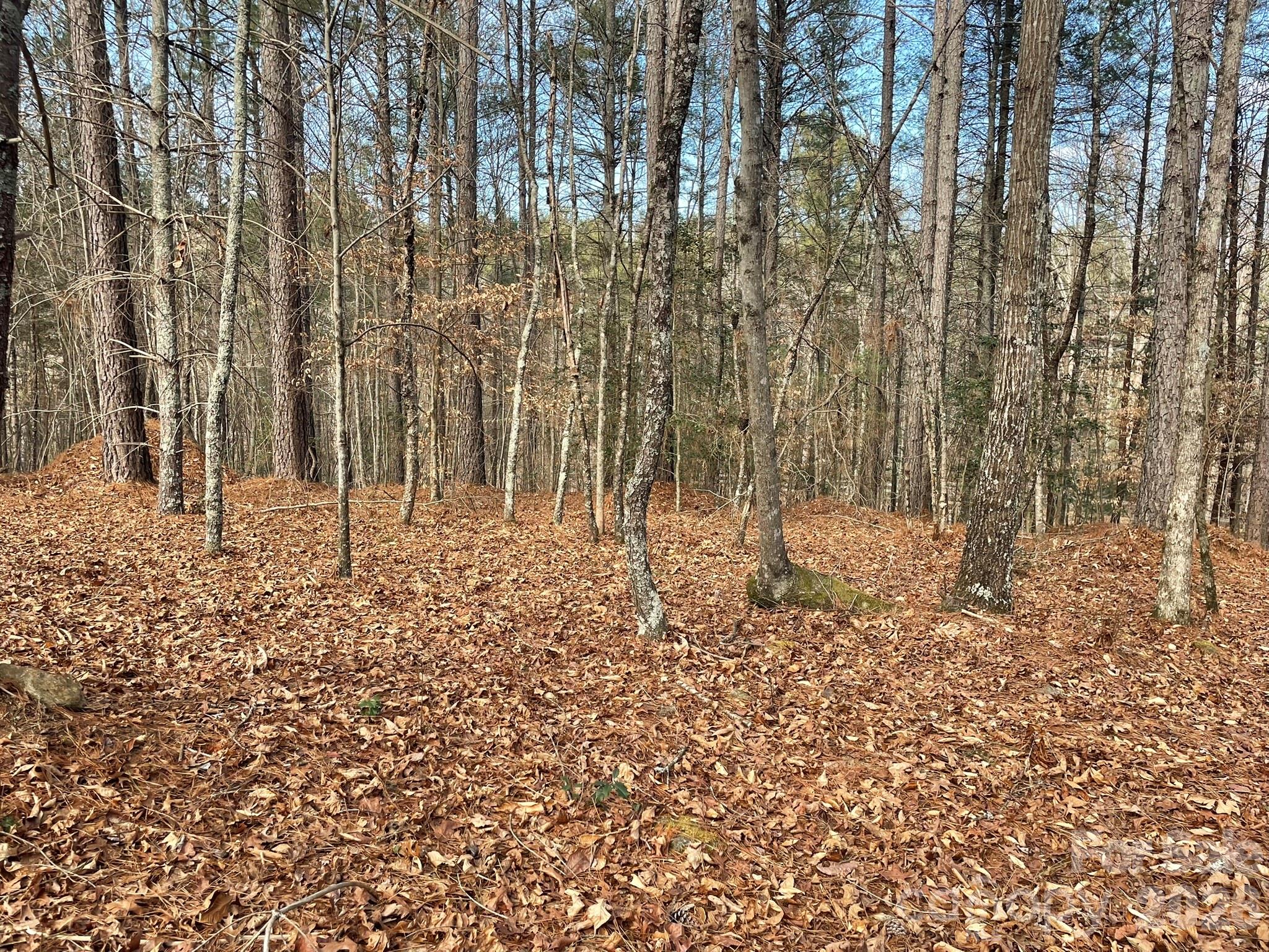 4650 John Berry Road Valdese, NC 28690 - Photo 9 of 12