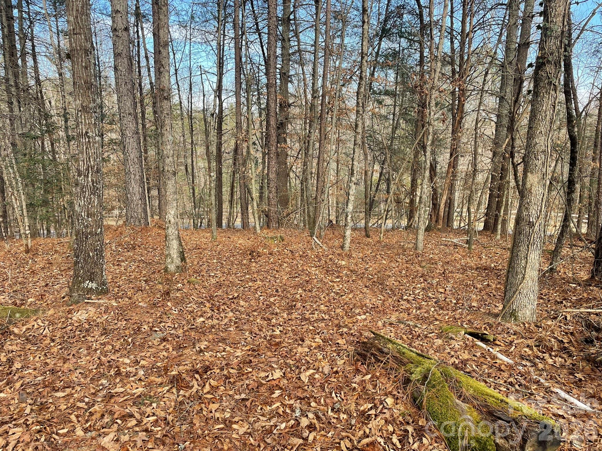 4650 John Berry Road Valdese, NC 28690 - Photo 10 of 12 a view of empty room with wooden floor