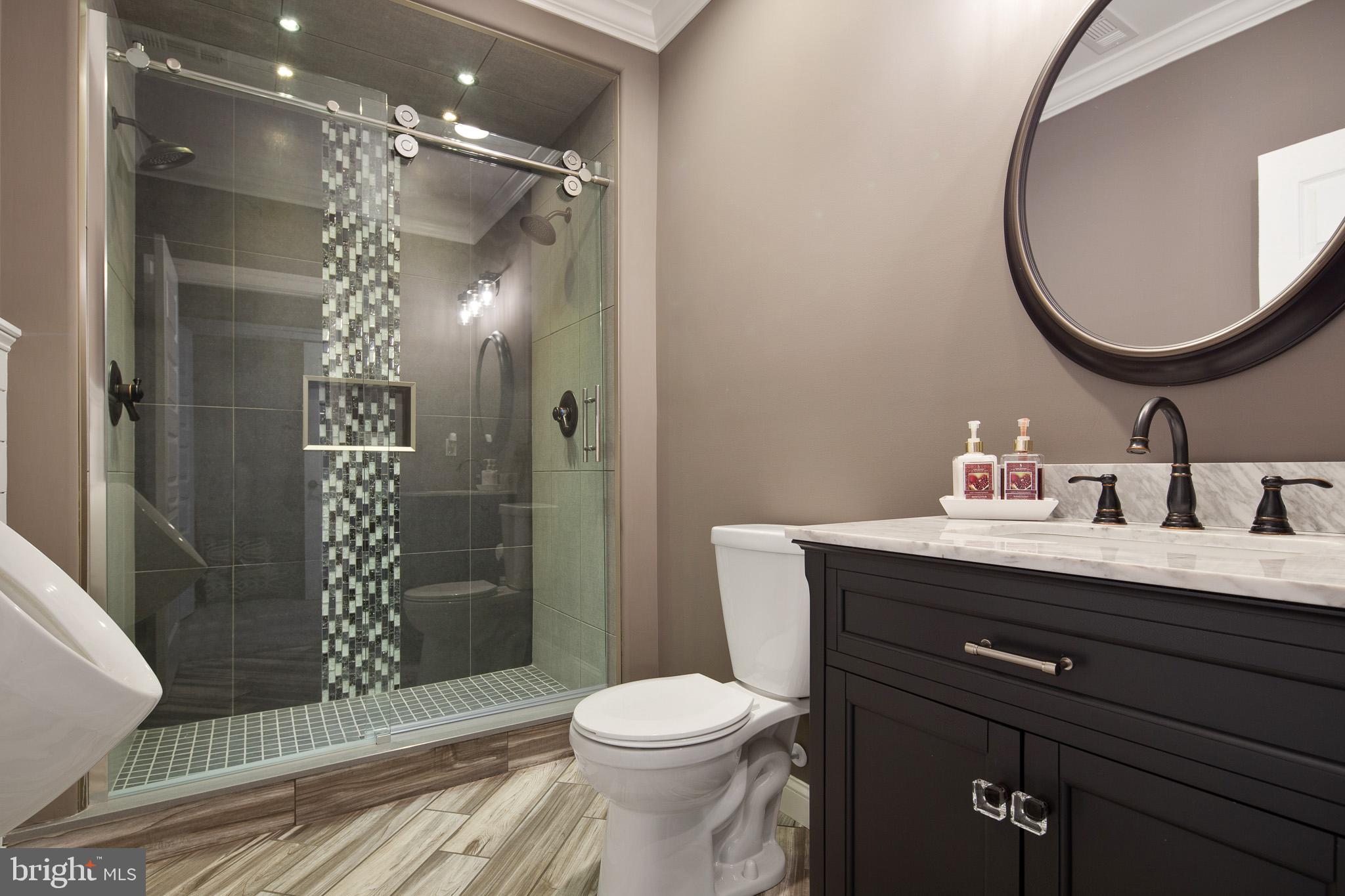 440 Spring Hollow Drive Middletown, DE 19709 - Photo 42 of 64 a bathroom with a sink a toilet a mirror and shower