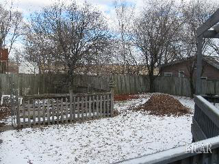 1354 East Samaria Road Temperance, MI 48182 - Photo 3 of 19 Rear Yard