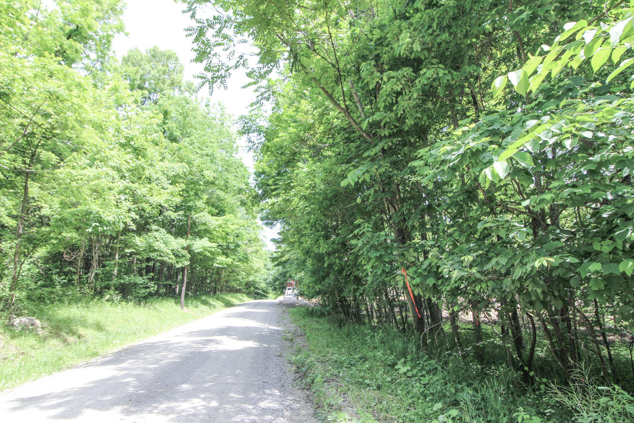 Lot 1 Mulberry Road Mount Perry, OH 43760 - Photo 5 of 31 6-IMG_8652