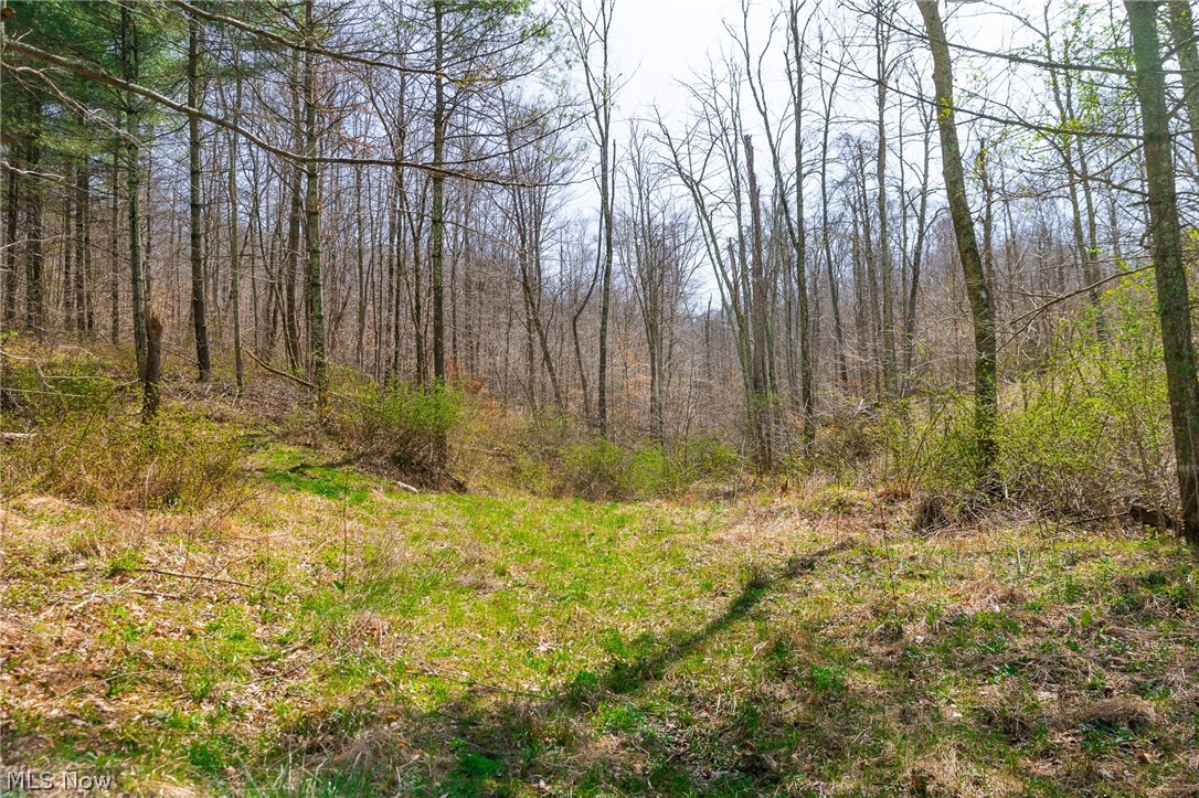 East Branch Road Lowell, OH 45744 - Photo 12 of 29