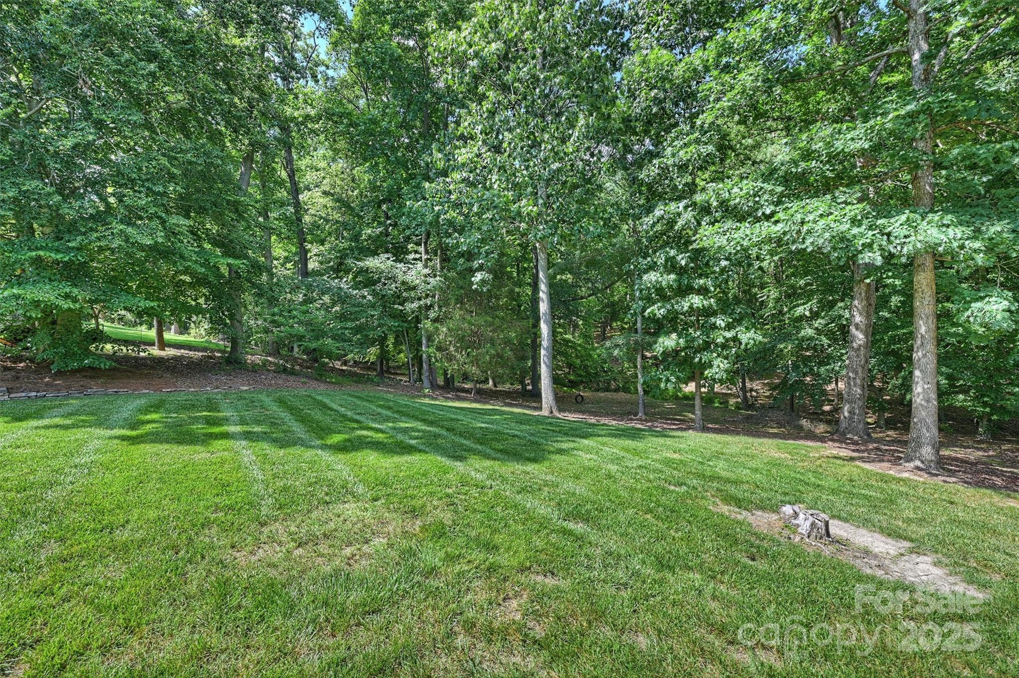3284 Millstone Creek Road Lancaster, SC 29720 - Photo 46 of 48 a view of a grassy field with trees