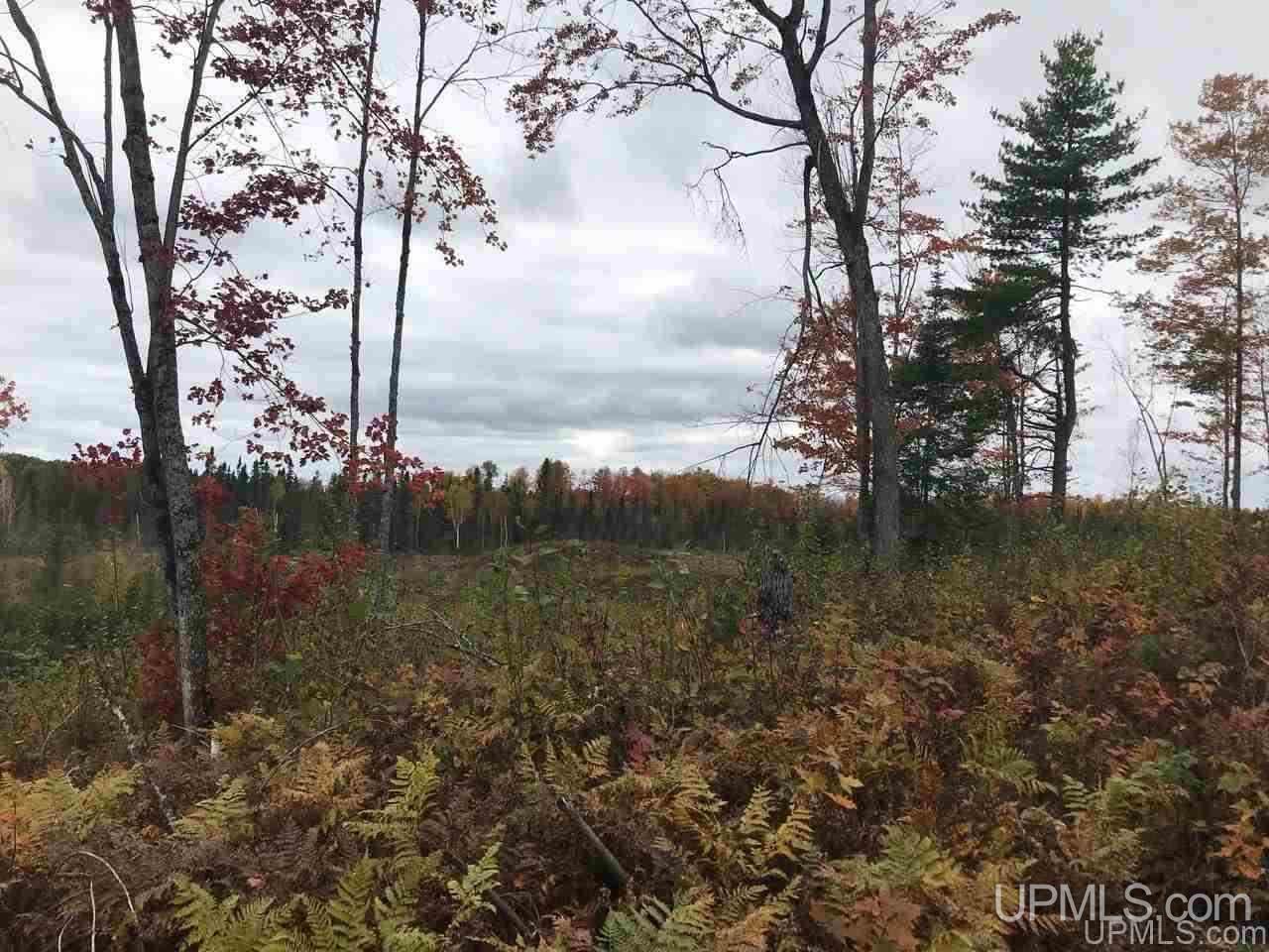 Tbd Off Woods Road Negaunee, MI 49849 - Photo 4 of 15