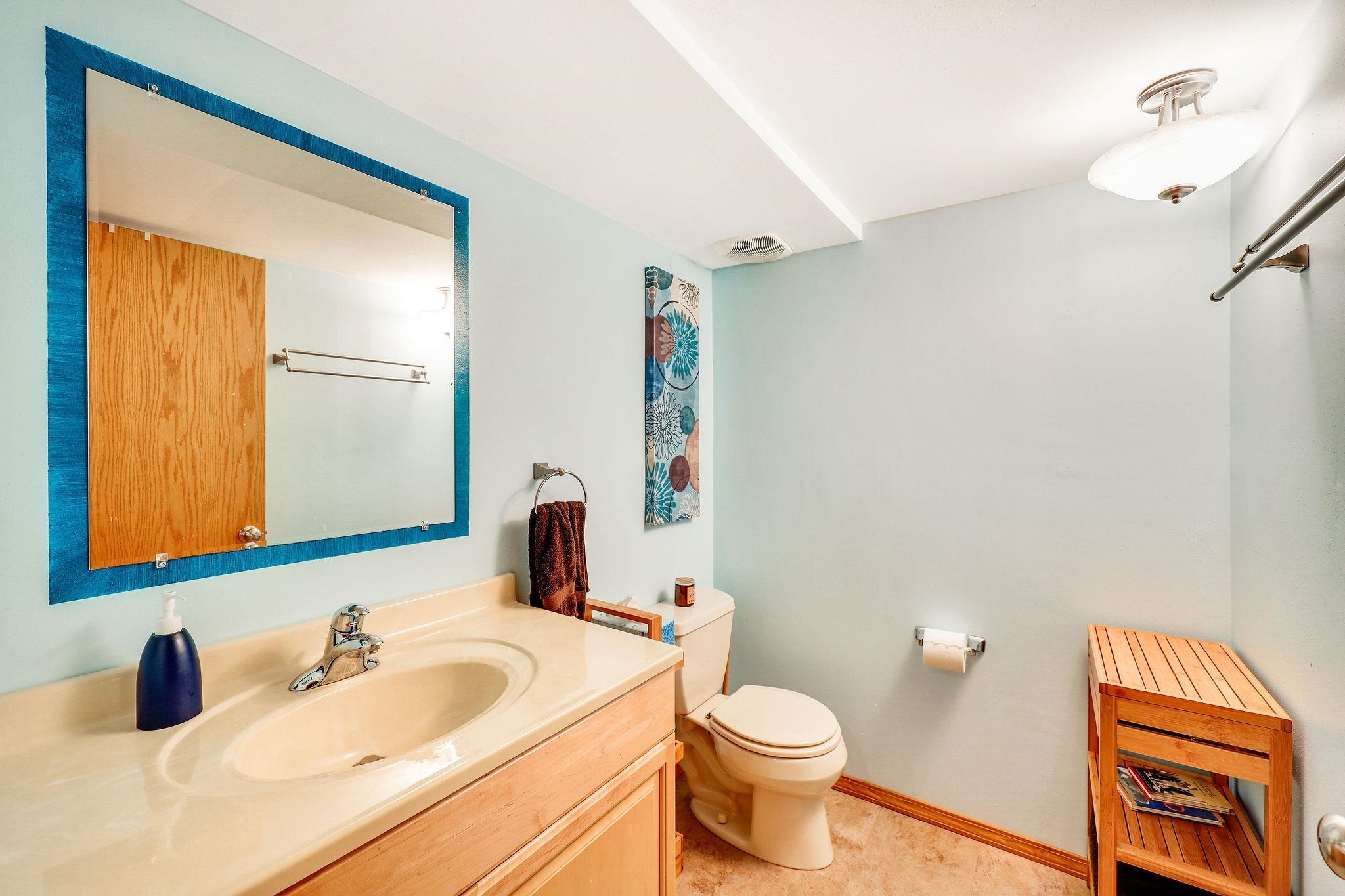 21 Torrey Pines Court Madison, WI 53717 - Photo 39 of 45