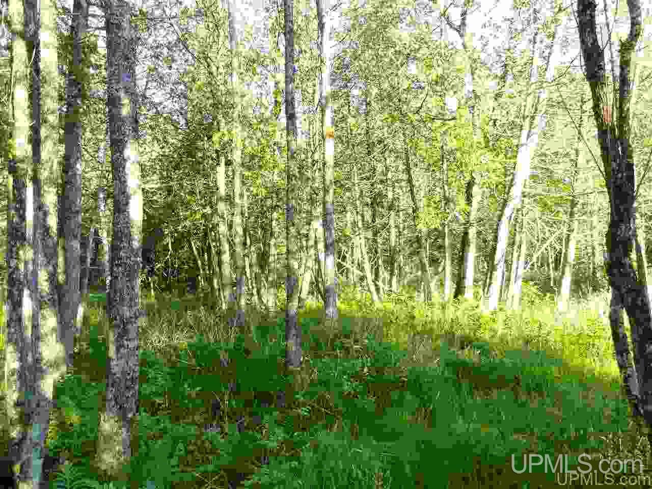 11918 T Road Rapid River, MI 49878 - Photo 14 of 49 Gallery Image 14