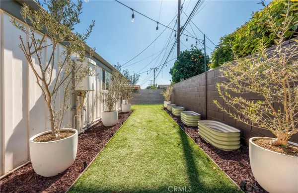 a view of a backyard that has plants and a fountain