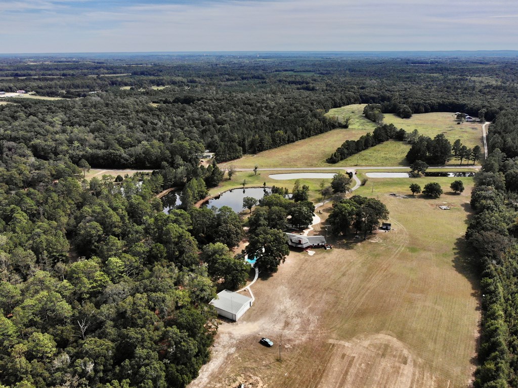 4566 Goose Hollow Road Geneva, AL 36340 - Photo 5 of 63