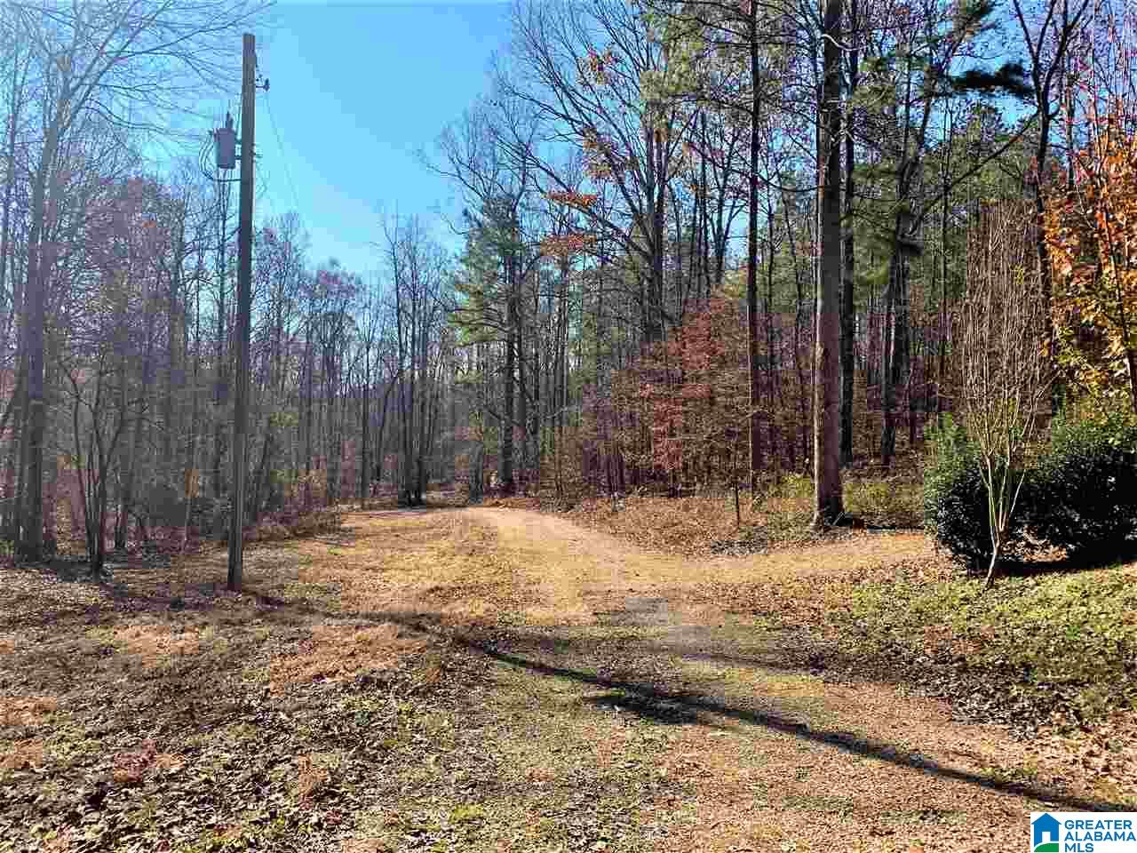 336 County Road 910 Delta, AL 36258 - Photo 5 of 29