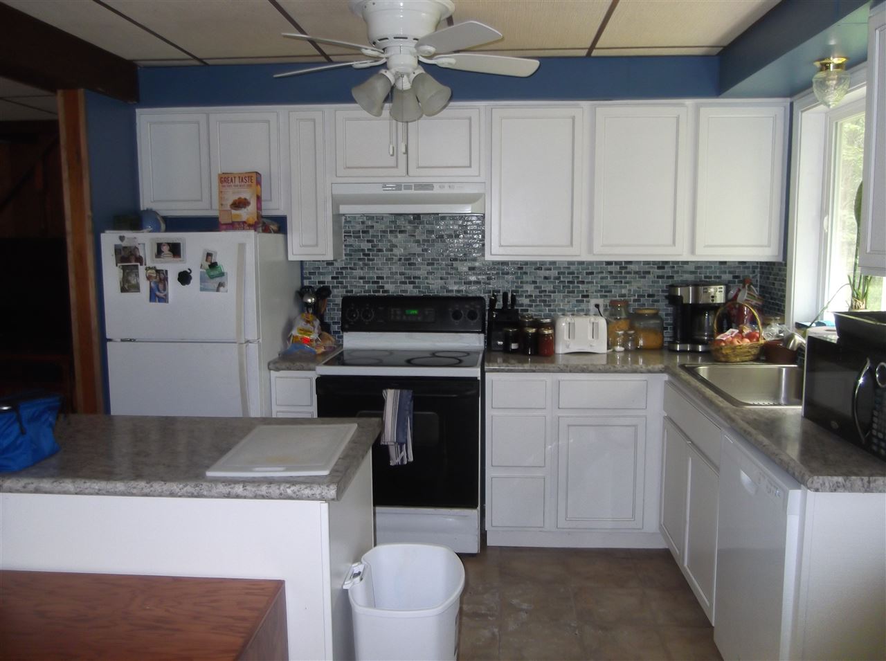 4388 Bass Lake Road Hale, MI 48739 - Photo 6 of 20 1834497-5.JPG