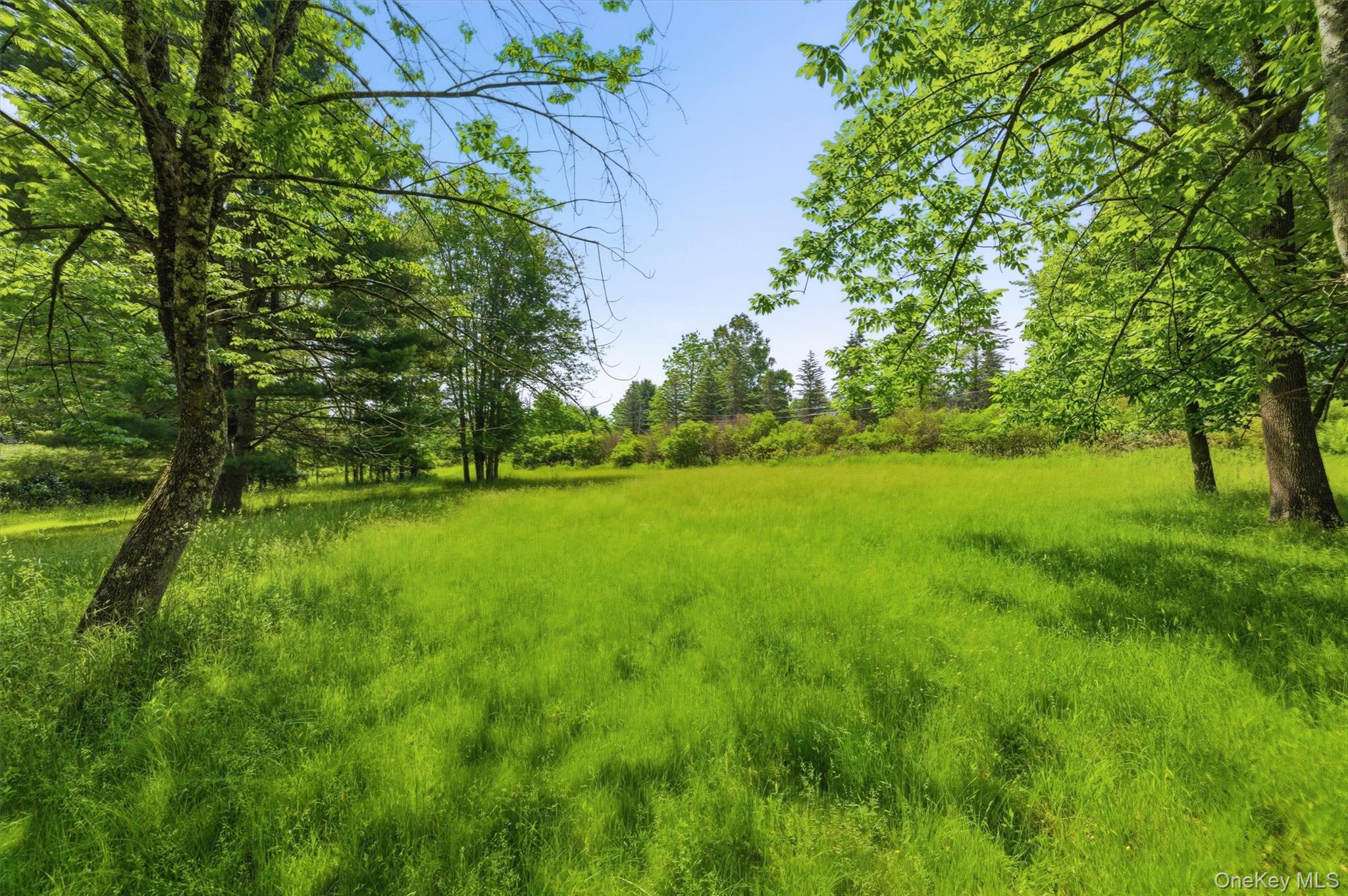 Tbd Britman Road Bethel, NY 12720 - Photo 6 of 16