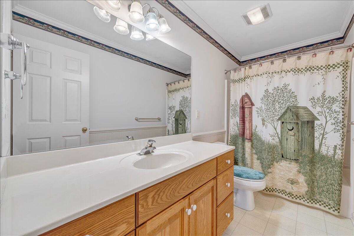 3991 Green Level Road Rocky Mount, VA 24151 - Photo 16 of 49 a bathroom with a sink a toilet and a mirror