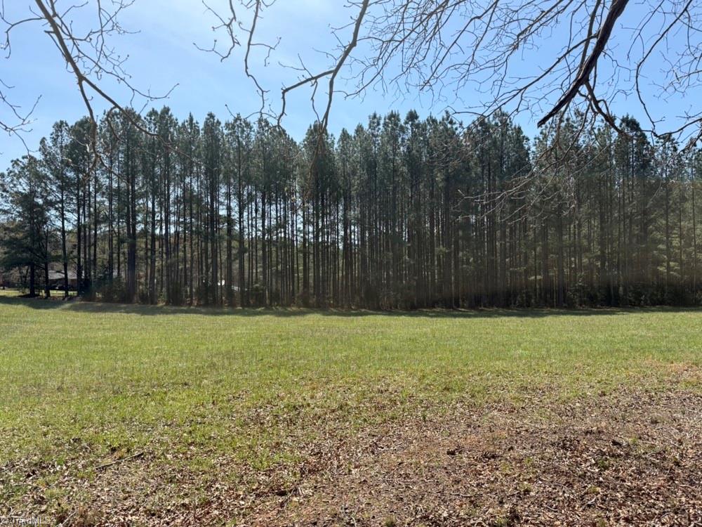 508 New Lebanon Church Road Reidsville, NC 27320 - Photo 22 of 35