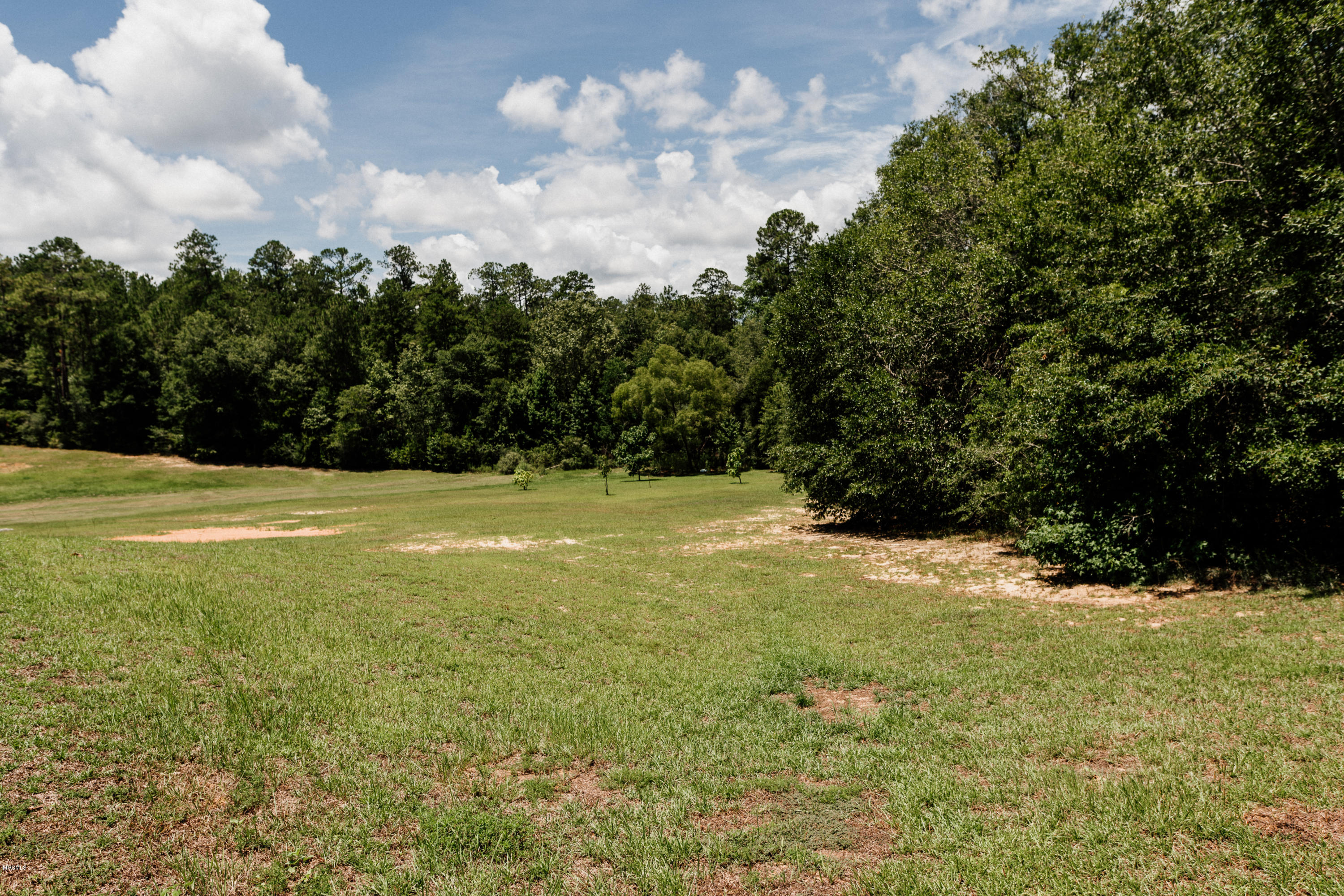 218 Cooks Corner Road Lucedale, MS 39452 - Photo 30 of 30 Warren Slay Re 07-22-2019-144-HDR