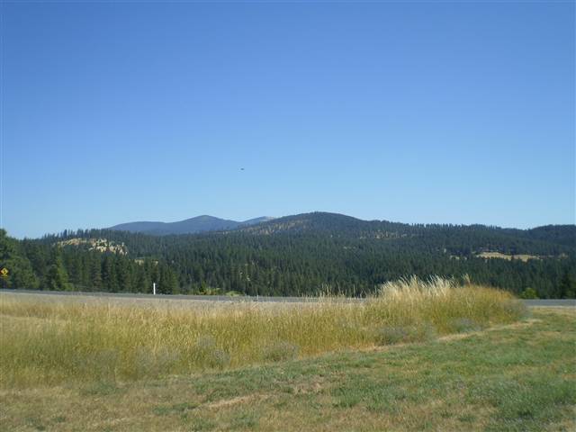 21105 North Day Mt Spokane Road Mead, WA 99021 - Photo 7 of 9