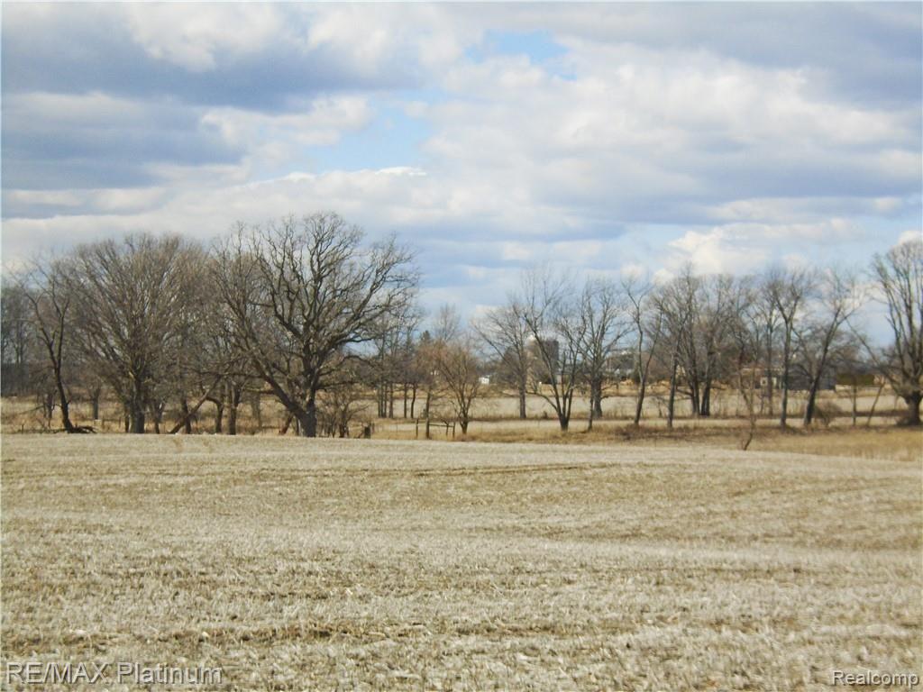 A 10 Parshall Road Fenton, MI 48430 - Photo 5 of 7