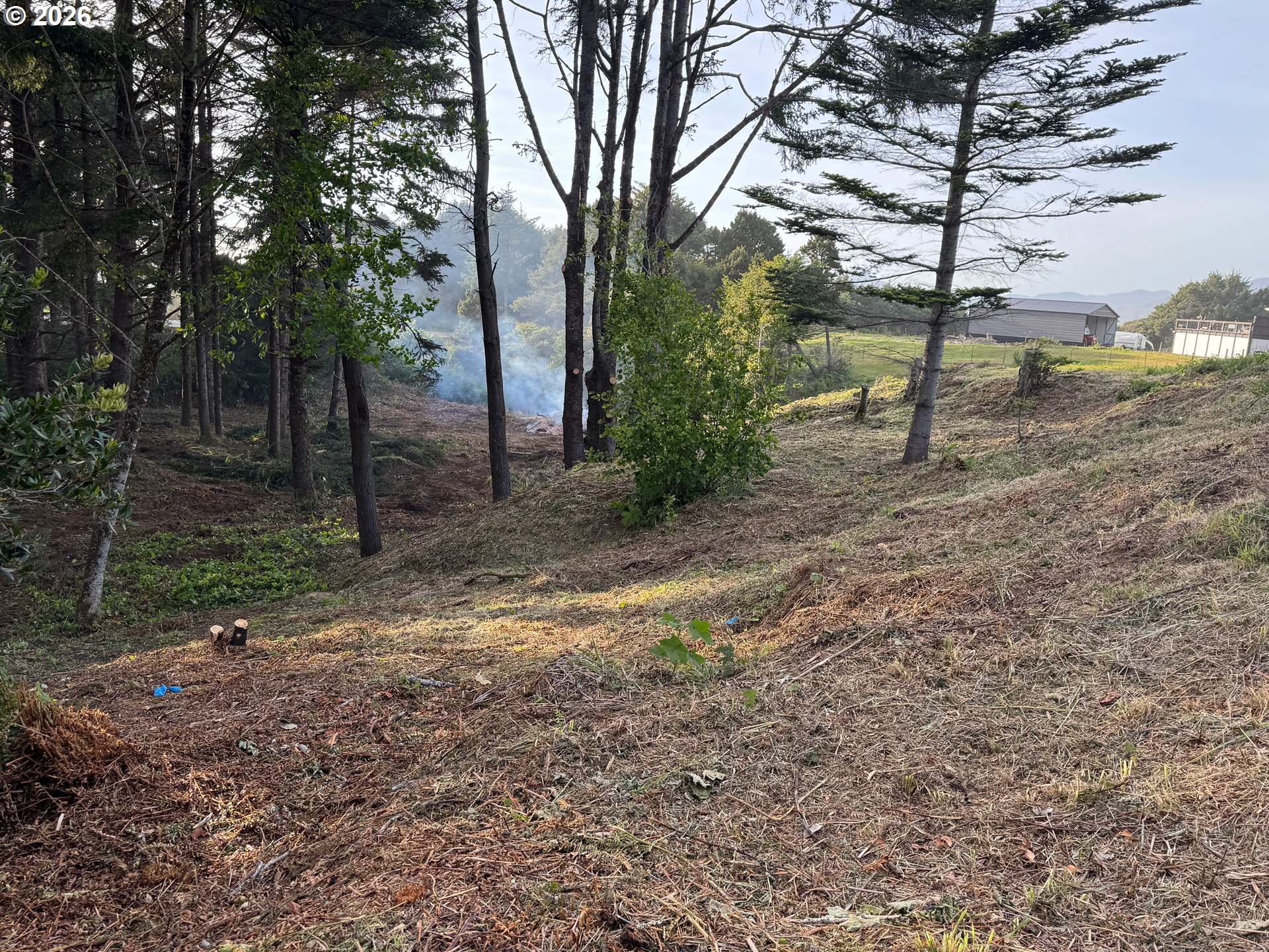 Ophir Road Gold Beach, OR 97444 - Photo 10 of 14 a view of a yard with a tree