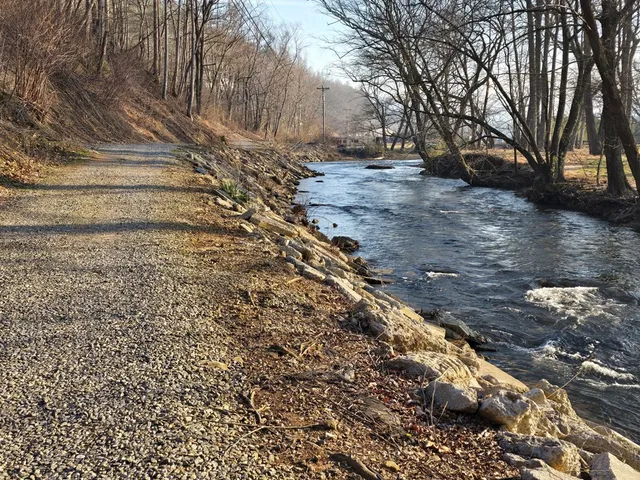 a view of a yard with large trees