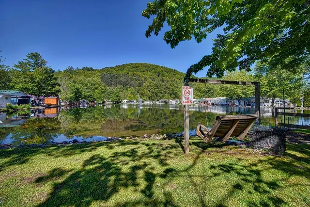 a view of a garden with a bench in a garden