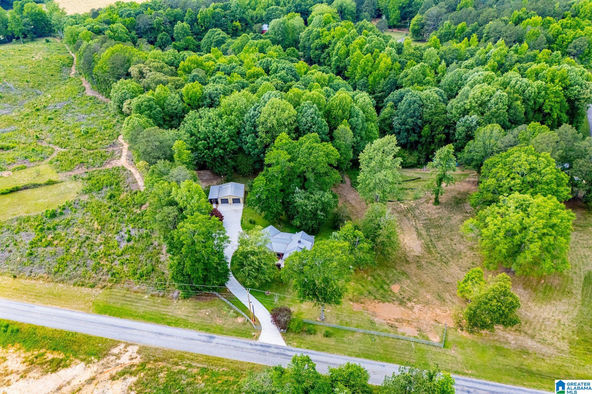 436 Goldridge Road Ranburne, AL 36273 - Photo 54 of 59