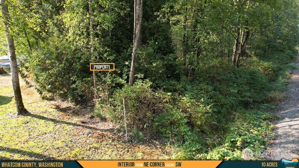 3133 Birch Bay Lynden Road Custer, WA 98240 - Photo 17 of 31 Gallery Image 17