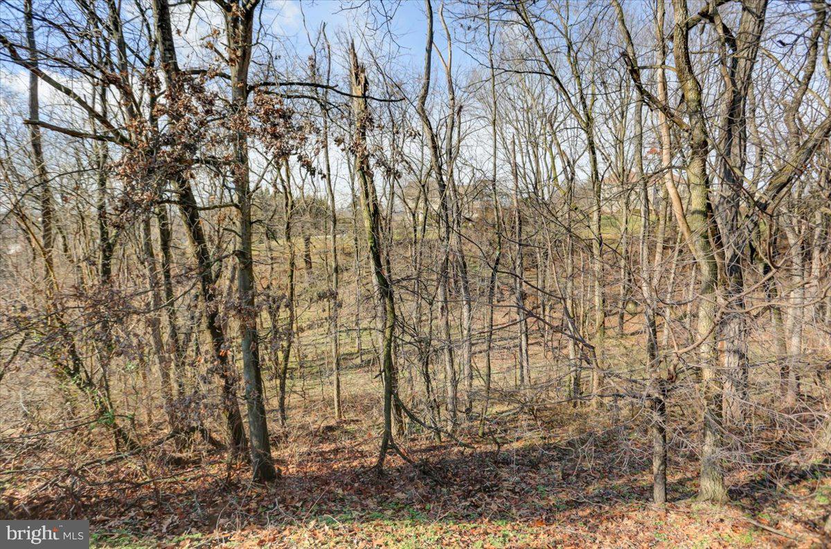 16227 Broadfording Road Clear Spring, MD 21722 - Photo 74 of 75 Wooded Area