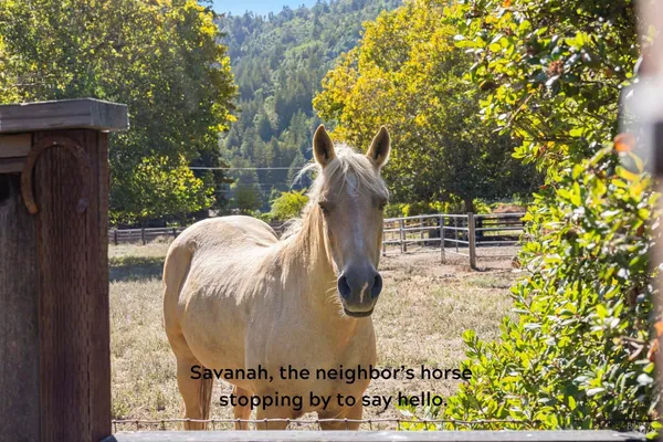 $1,995,000 | 16390 Laughlin Road, Guerneville, CA 95446