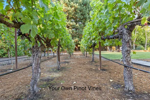 $1,995,000 | 16390 Laughlin Road, Guerneville, CA 95446